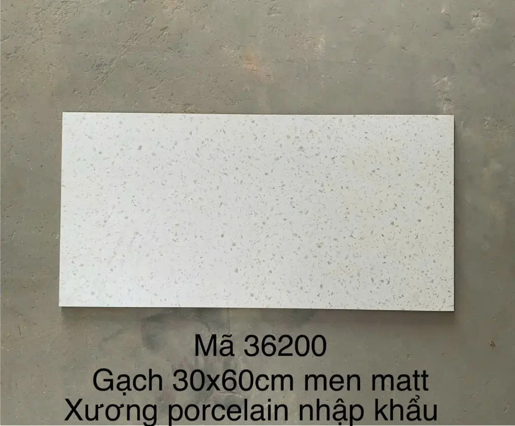 [DSC-36200] Gạch terrazzo TQ, KT 300x600 mm porcelain mặt mờ mã 36200 (1h/1.44m/8v)