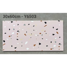 [Y6503] Gạch Terrazzo KT 300x600mm Y6503